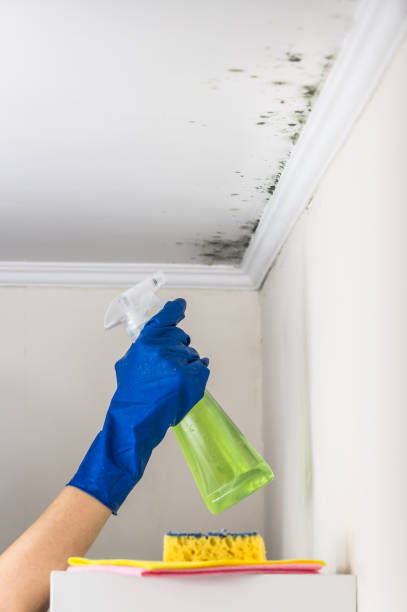 Best HVAC Mold Inspection and Cleaning  in Splendora, TX